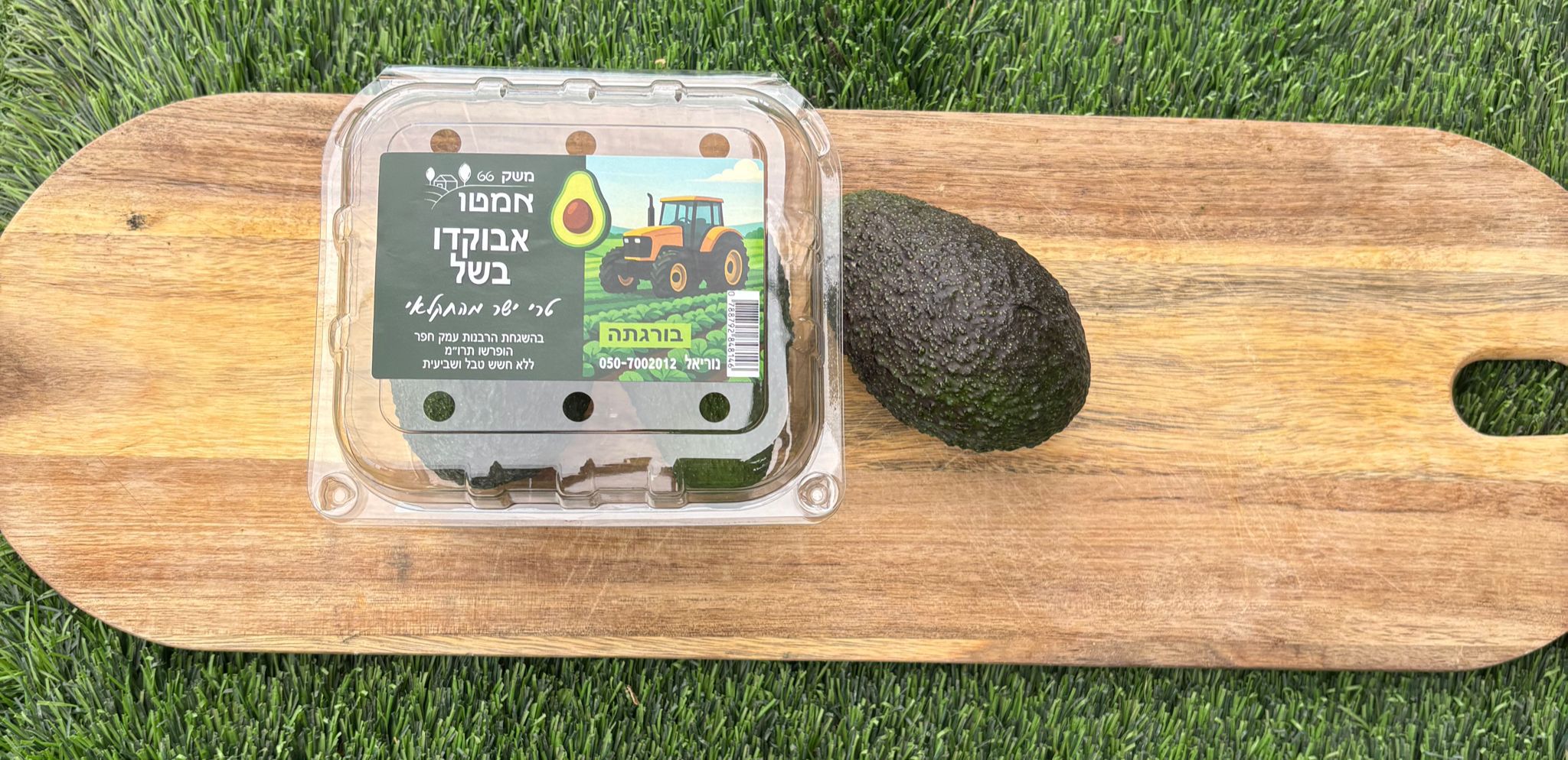 אבוקדו טרי ממשק 66