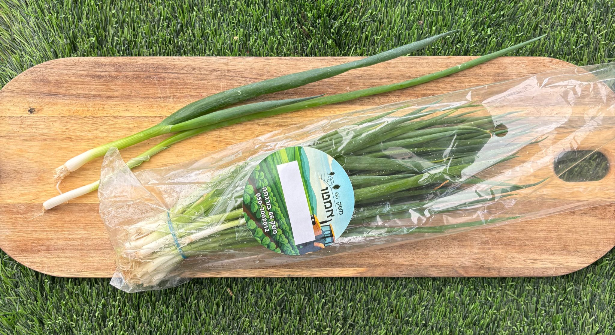 בצל ירוק טרי