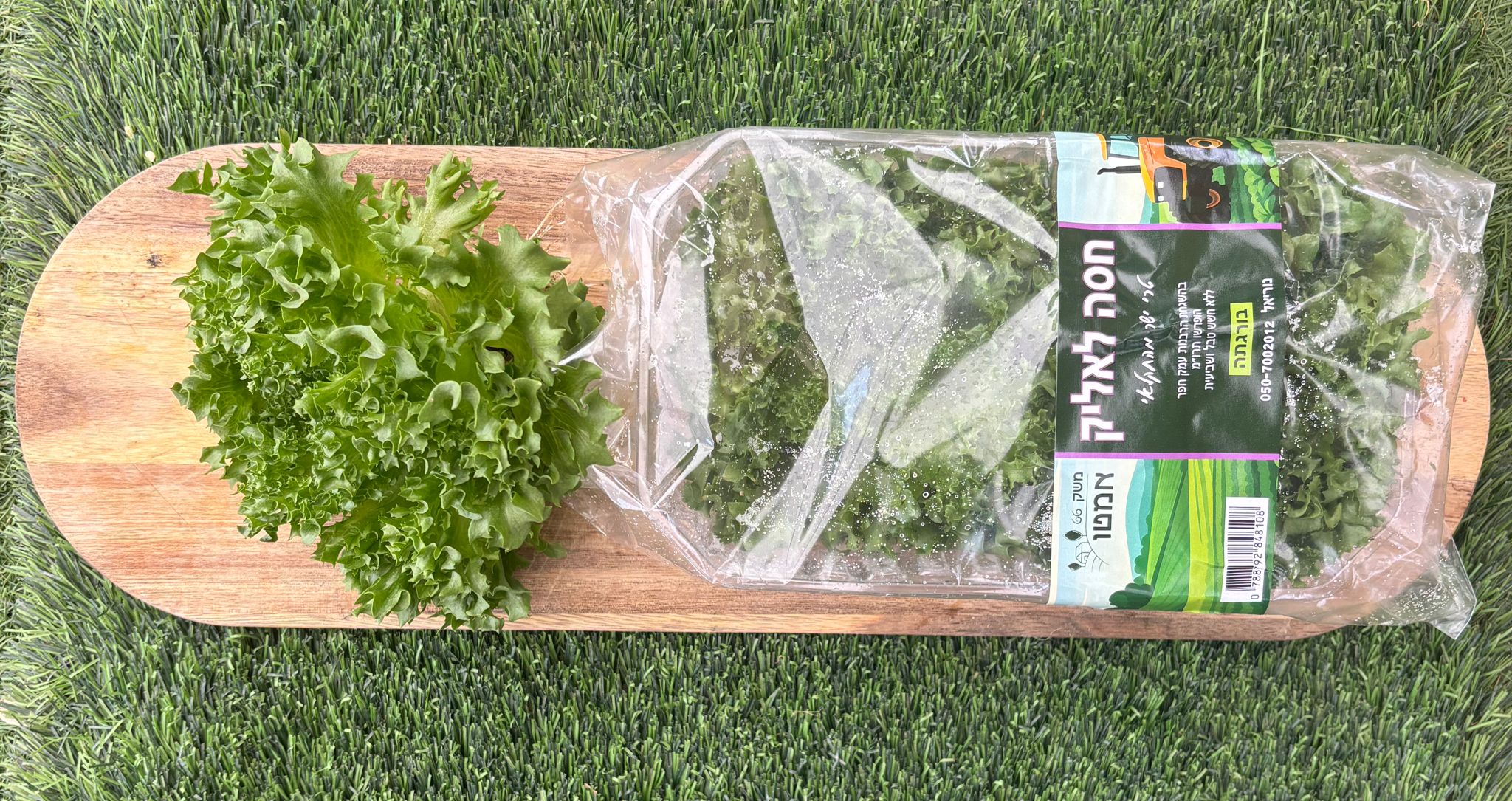 עלים ירוקים