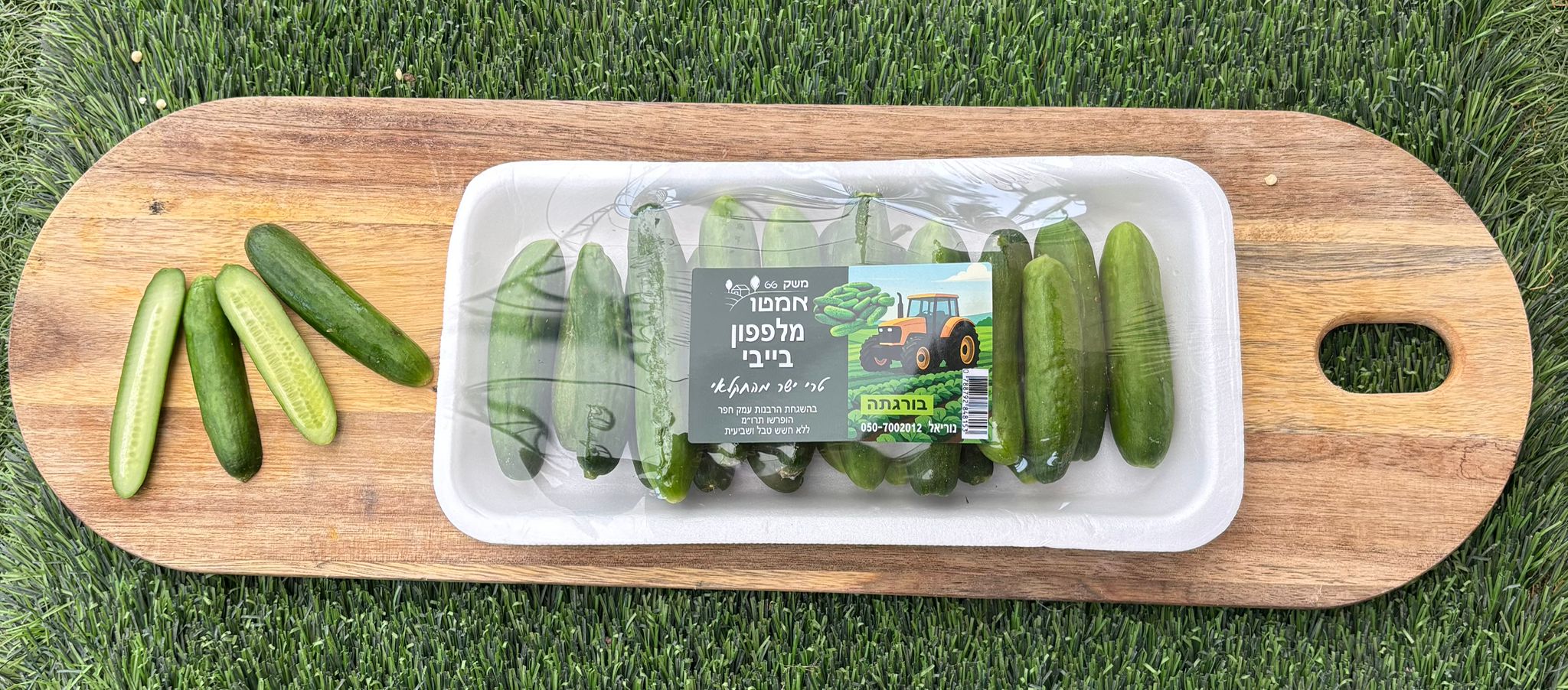 מלפפון פריך