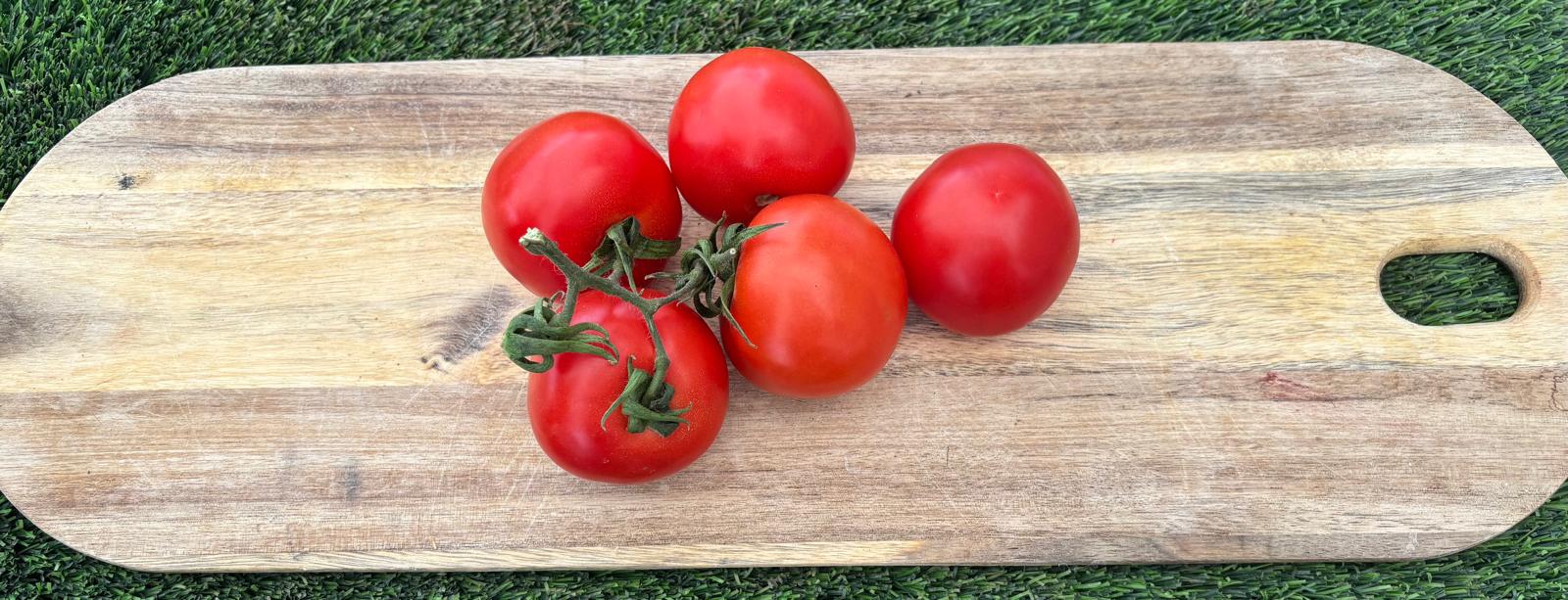 עגבניות טריות